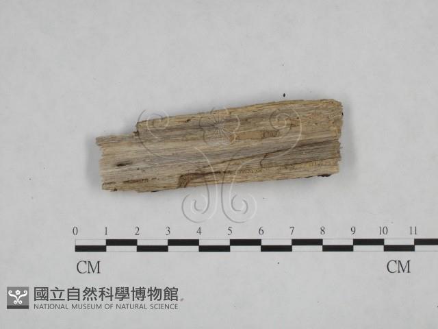 登錄號:F0008714藏品圖，第3張