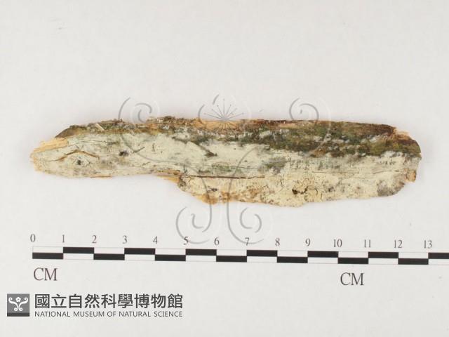 登錄號:F0026714藏品圖，第3張