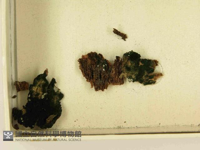 登錄號:F0021514藏品圖，第1張