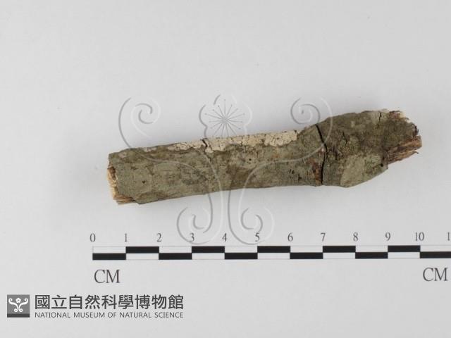 登錄號:F0020114藏品圖，第3張