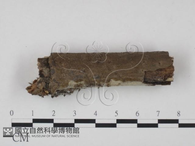 登錄號:F0000114藏品圖，第3張