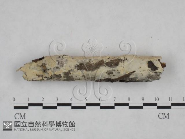 登錄號:F0025114藏品圖，第3張