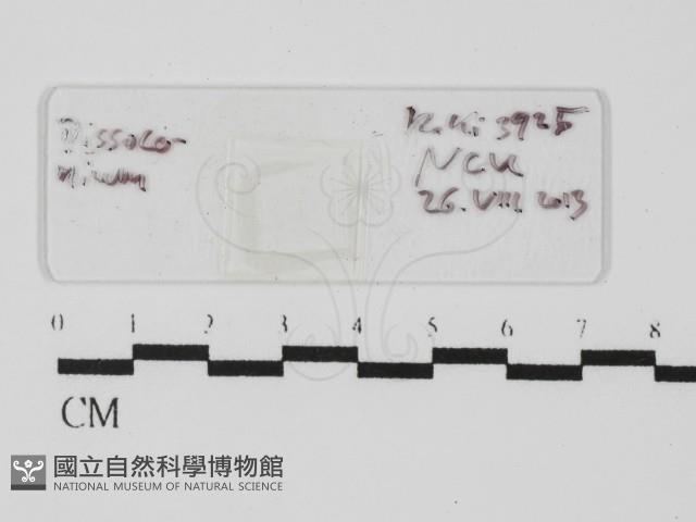 登錄號:F0031014藏品圖，第1張