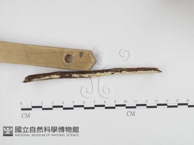 登錄號:F0000314藏品圖，第3張