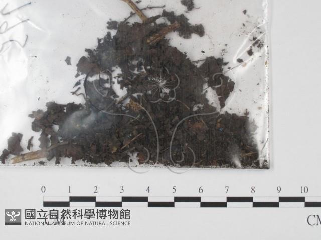 登錄號:F0011314藏品圖，第3張