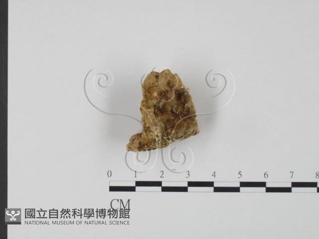 登錄號:F0007314藏品圖，第3張