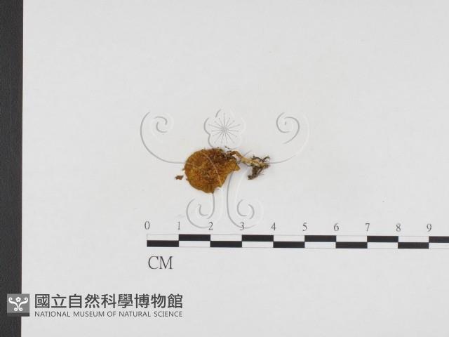 登錄號:F0024254藏品圖，第3張