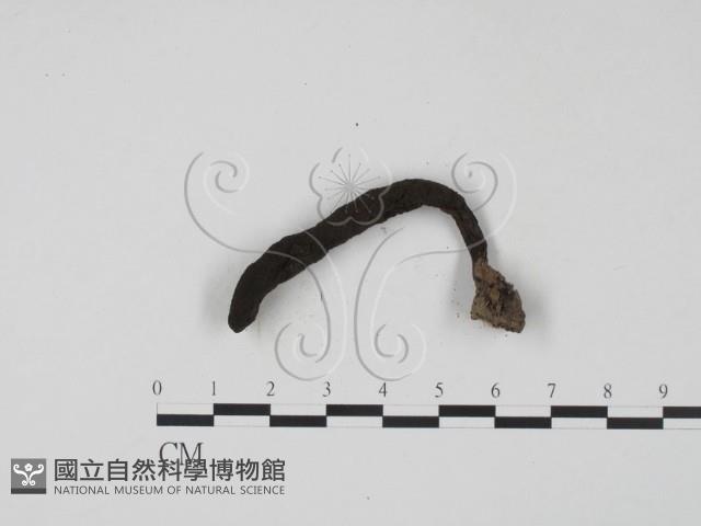 登錄號:F0022254藏品圖，第3張