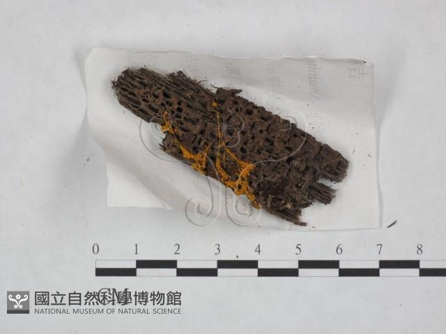登錄號:F0023254藏品圖，第3張