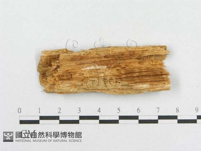 登錄號:F0000954藏品圖，第3張