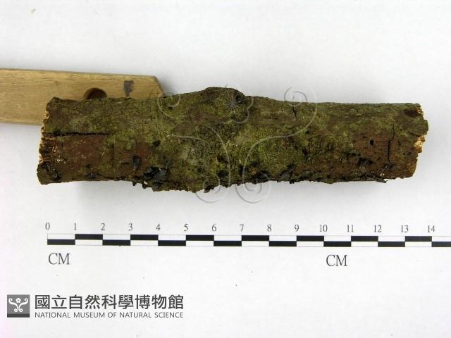 登錄號:F0022654藏品圖，第3張