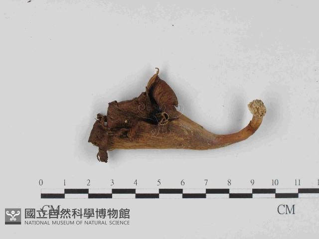 登錄號:F0023654藏品圖，第3張