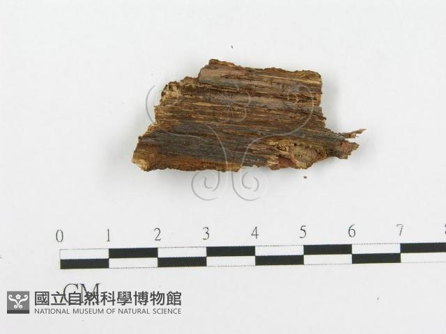登錄號:F0020454藏品圖，第3張