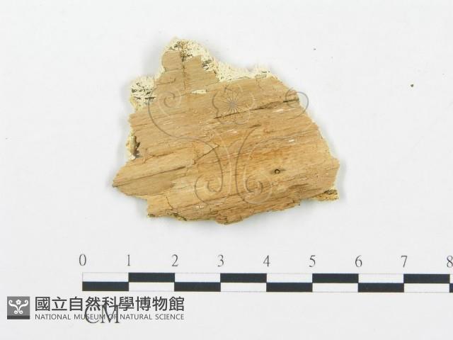 登錄號:F0005754藏品圖，第3張