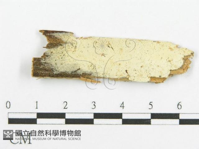登錄號:F0015754藏品圖，第1張
