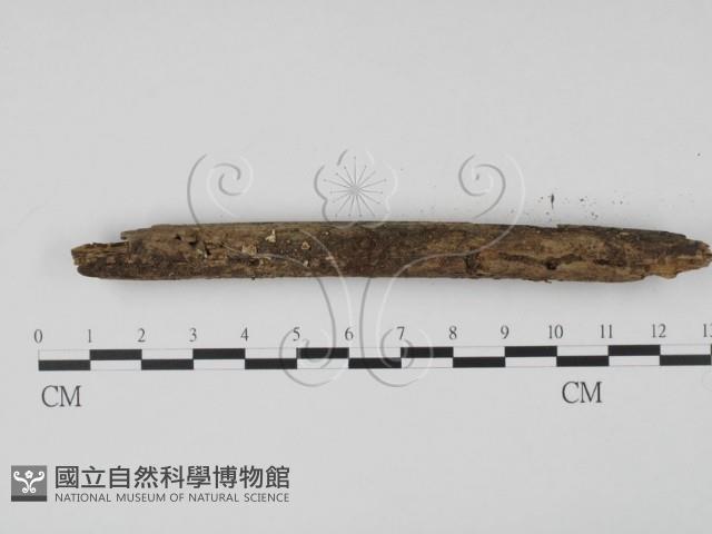 登錄號:F0009754藏品圖，第3張