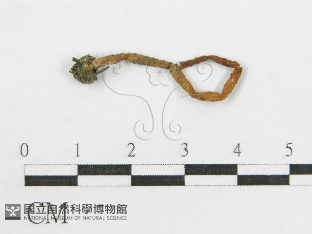 登錄號:F0008554藏品圖，第3張