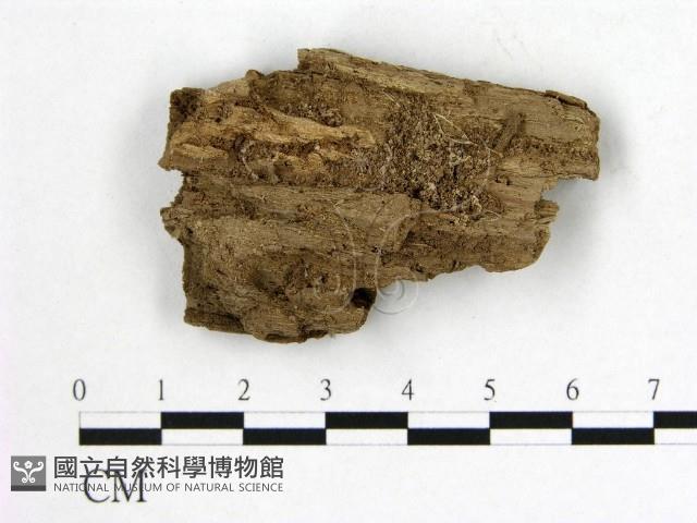 登錄號:F0006554藏品圖，第3張