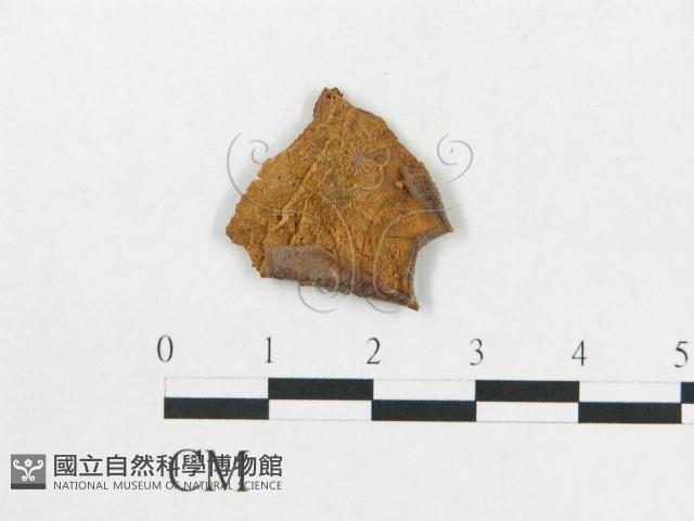 登錄號:F0011554藏品圖，第1張