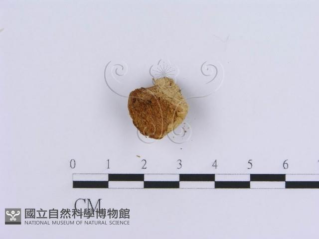 登錄號:F0007154藏品圖，第3張