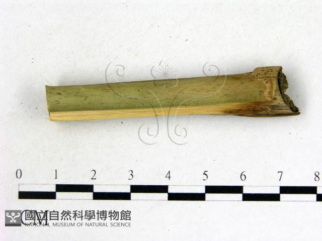 登錄號:F0015154藏品圖，第3張