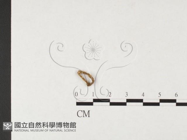 登錄號:F0026354藏品圖，第1張