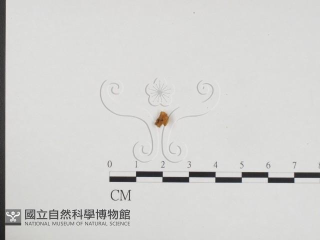 登錄號:F0024354藏品圖，第3張