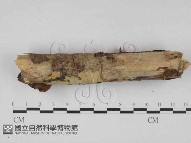 登錄號:F0022244藏品圖，第3張