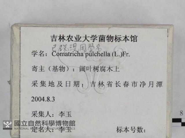 登錄號:F0023244藏品圖，第3張