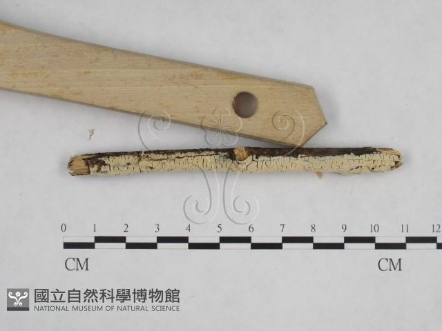 登錄號:F0024844藏品圖，第3張