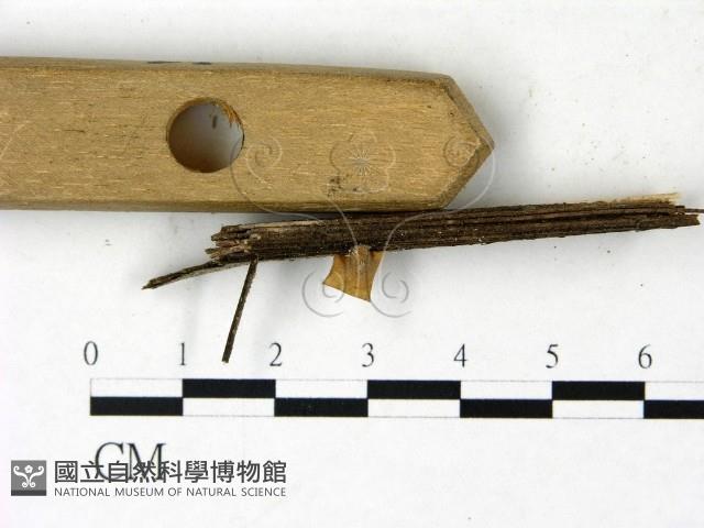 登錄號:F0022844藏品圖，第3張