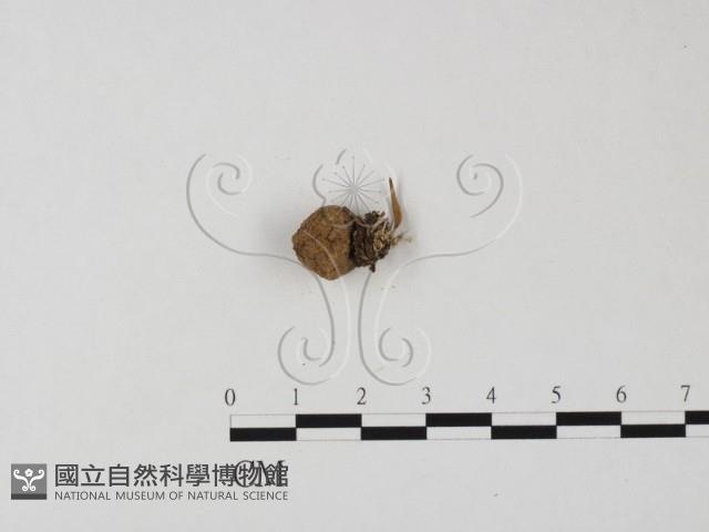 登錄號:F0025844藏品圖，第3張