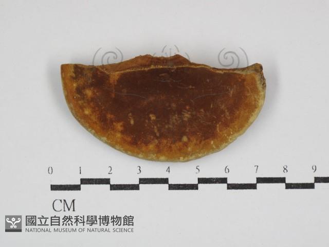 登錄號:F0023844藏品圖，第3張