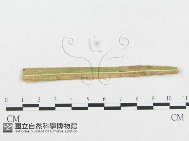 登錄號:F0018944藏品圖，第1張