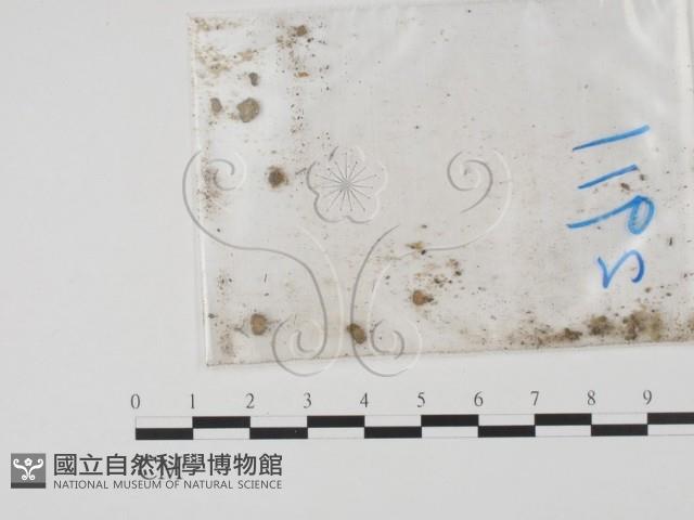登錄號:F0011644藏品圖，第3張