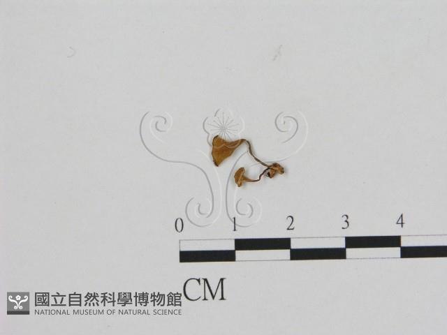 登錄號:F0015644藏品圖，第3張