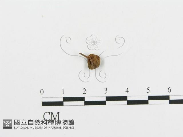 登錄號:F0004444藏品圖，第3張