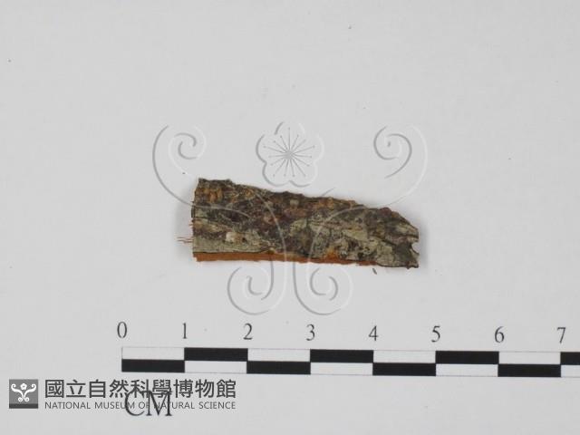 登錄號:F0011744藏品圖，第3張