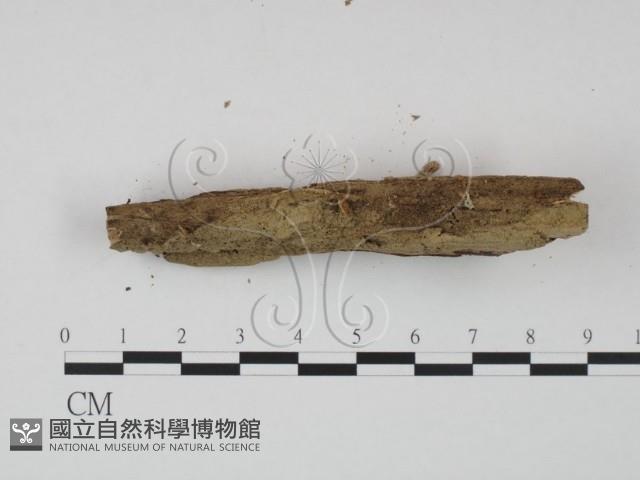 登錄號:F0009744藏品圖，第3張