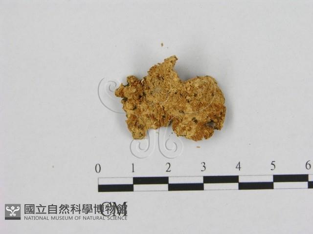 登錄號:F0006544藏品圖，第3張