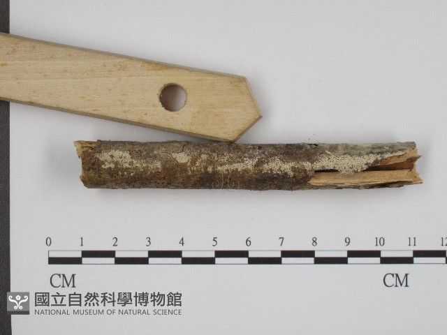 登錄號:F0004144藏品圖，第3張