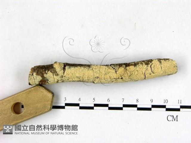 登錄號:F0003144藏品圖，第3張