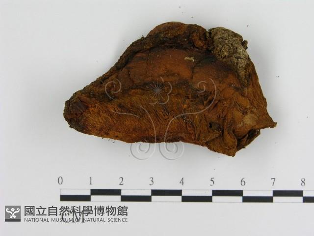 登錄號:F0008044藏品圖，第3張