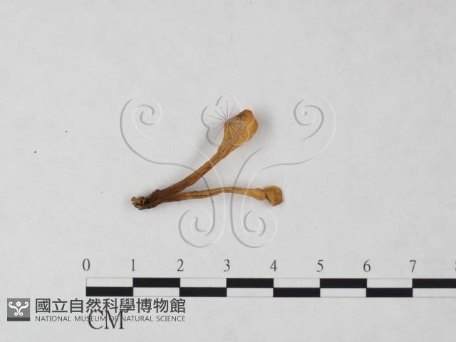 登錄號:F0024044藏品圖，第3張