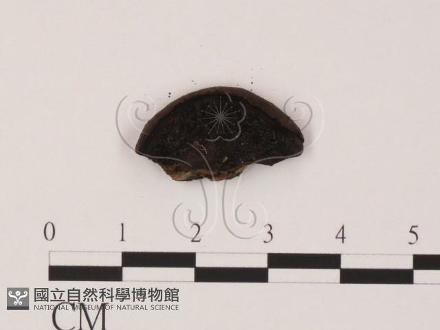 登錄號:F0002234藏品圖，第3張