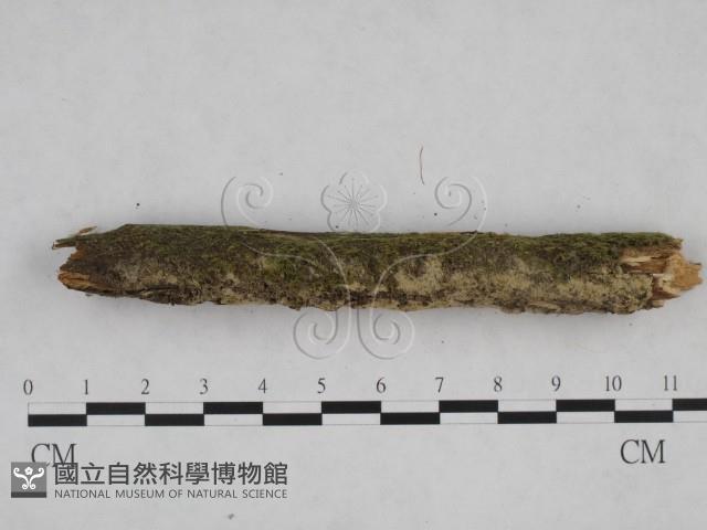 登錄號:F0024834藏品圖，第3張