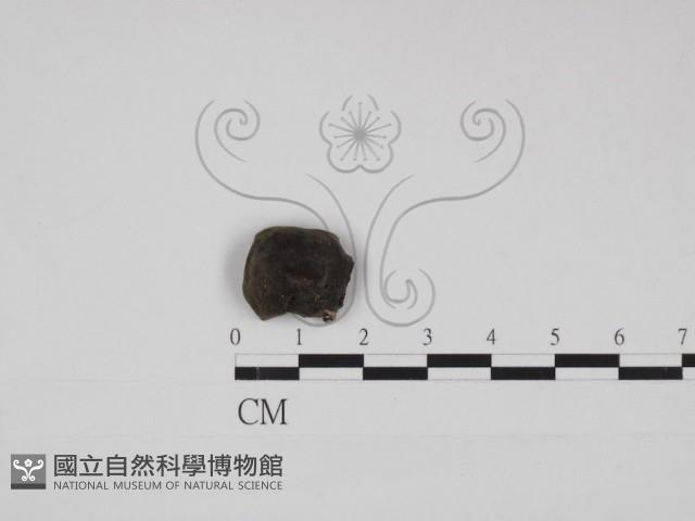 登錄號:F0030934藏品圖，第3張