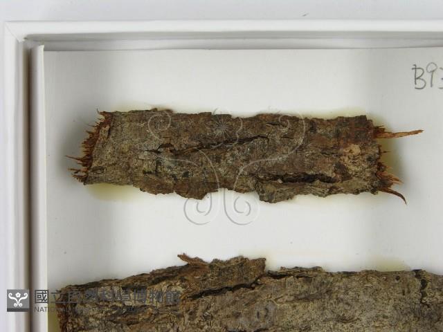 登錄號:F0021634藏品圖，第3張