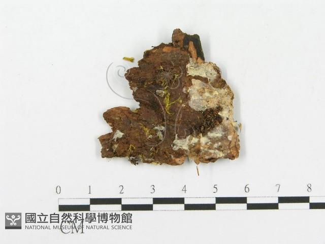 登錄號:F0004634藏品圖，第3張