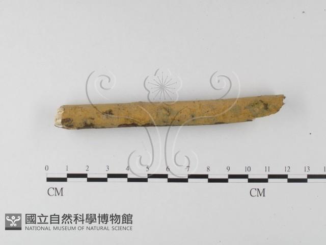 登錄號:F0025634藏品圖，第3張